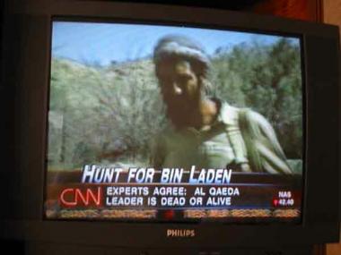 Experts Agree: bin Laden is Dead or Alive